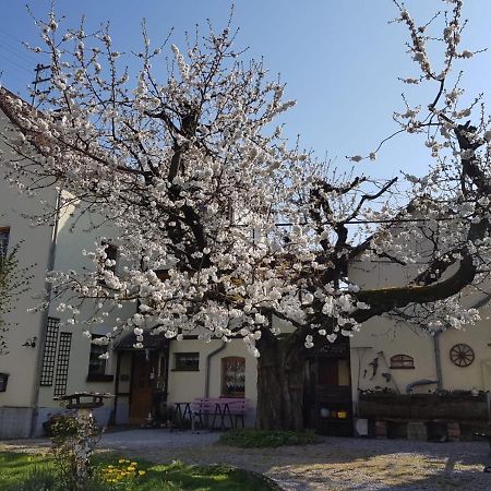 Ferienwohnung Zum-Alten-Kirschbaum ليمبورغ ان دير لان المظهر الخارجي الصورة