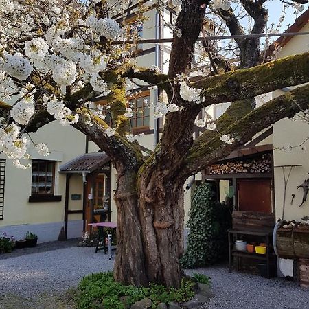 Ferienwohnung Zum-Alten-Kirschbaum ليمبورغ ان دير لان المظهر الخارجي الصورة