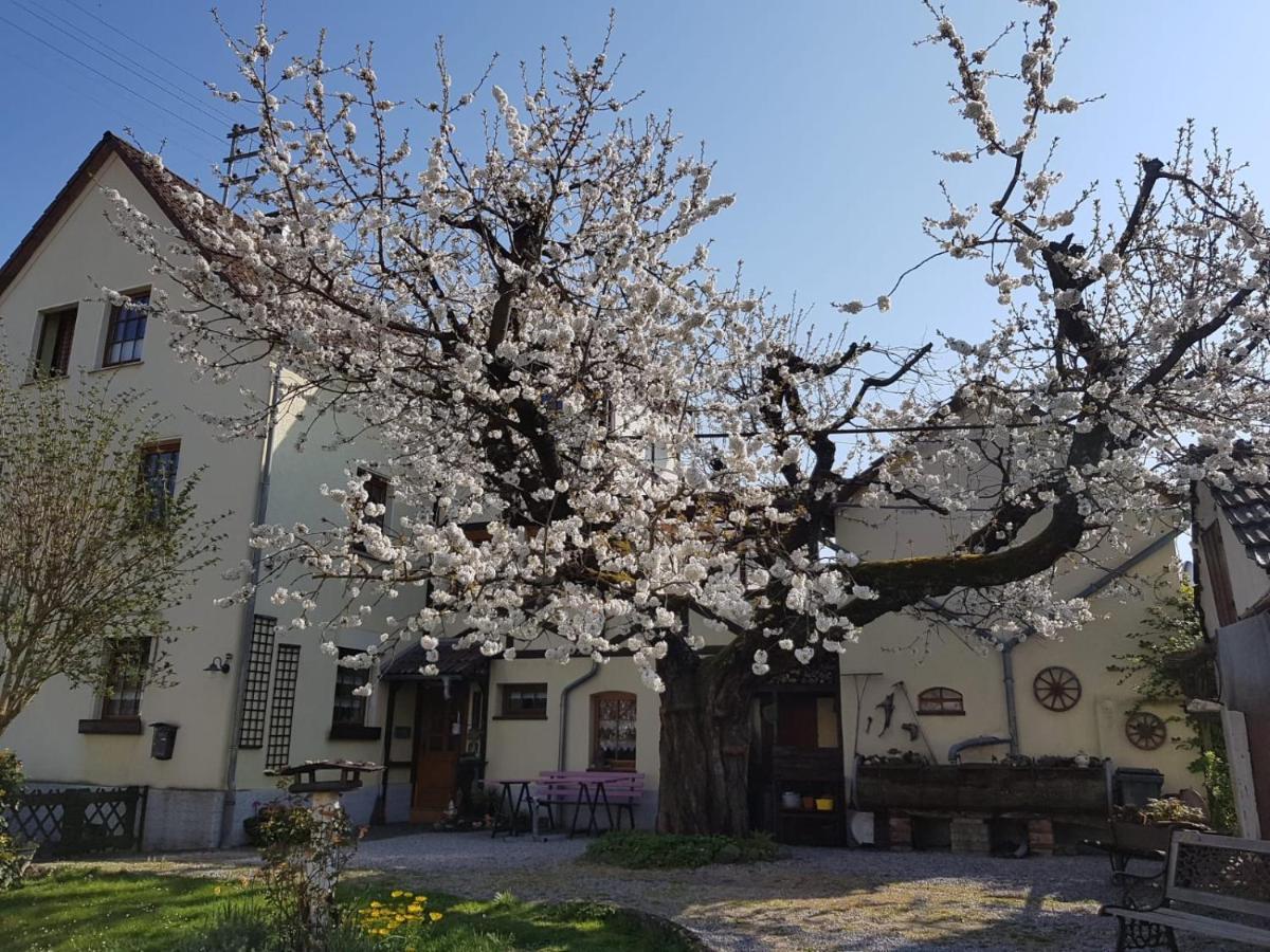 Ferienwohnung Zum-Alten-Kirschbaum ليمبورغ ان دير لان المظهر الخارجي الصورة