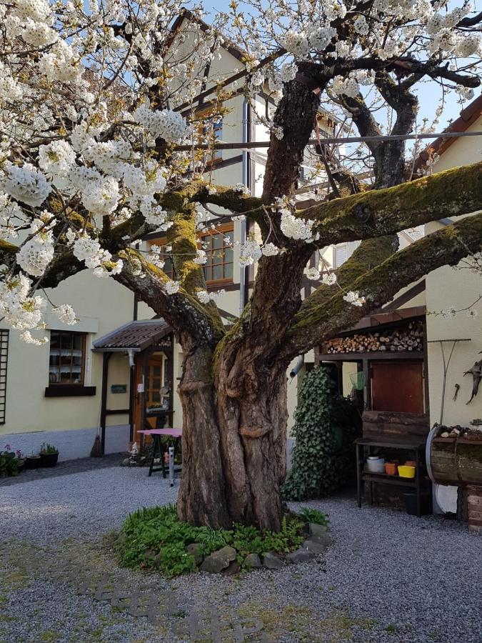 Ferienwohnung Zum-Alten-Kirschbaum ليمبورغ ان دير لان المظهر الخارجي الصورة