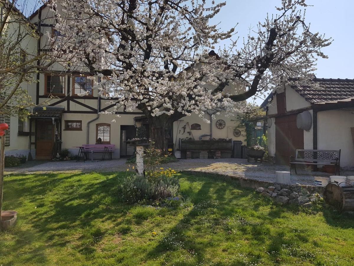 Ferienwohnung Zum-Alten-Kirschbaum ليمبورغ ان دير لان المظهر الخارجي الصورة